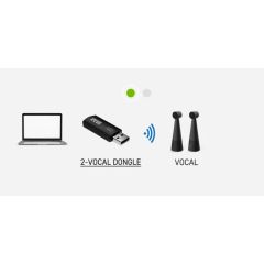 Ipevo DUET