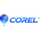 CorelDRAW Graphics Suite Education 365-Day Subscription Renewal (Windows) (251+)